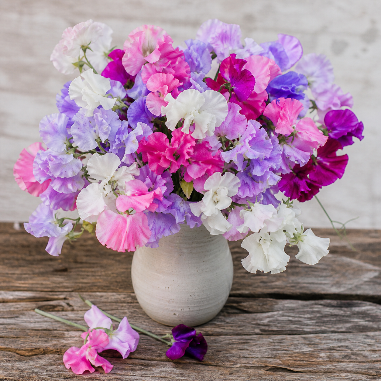 Sweet Pea Heaven Scent Mix